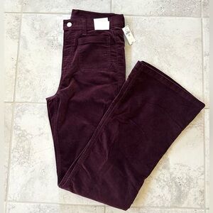 GAP Burgundy 70’s flare pants